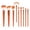 Orange, variant on UNLLLL 9 Piece Handle Makeup Brush Set, Crocodile Texture Grip, Powder Blush Eye Shadow Brushes, Multi Functional Face Kit, for Daily and Party Makeup (Green)