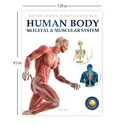 Human Body Box Set: Knowledge Encyclopedia for Children, (Paperback)