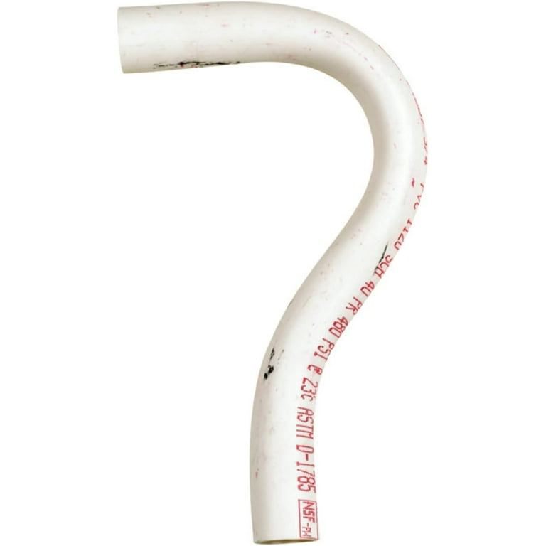 P. ‘White Hips' 株分 P TRAP PLASTIC WHITE 12