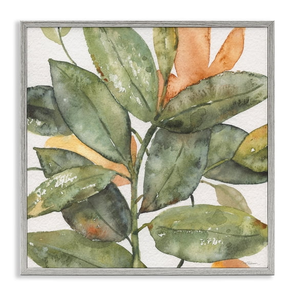 Stupell Industries Farmhouse Botanical Leaves Watercolor Plant Gray Framed Giclee Art, 24 x 24, by Carol Robinson