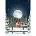 thumbnail image 2 of America Forever Flags Double Sided Garden Flag - Winter Moon - 12.5" x 18", Winter Holiday Christmas Seasonal Yard Outdoor Decor Flags, 2 of 6