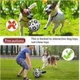 thumbnail image 4 of Pelota de fútbol para perros Domchan 23 cm interactiva para tirar, 4 of 7