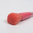 thumbnail image 2 of CHICHUMID 5Pcs Cute Makeup Brushes Set Assorted Color for Ladies Who Usually Make Up 19x1.5x12cm, 2 of 8