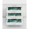 thumbnail image 6 of My Style Bangalow Tropical Palm Peel and Stick Wallpaper, 6 of 17