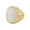 Gold White, variant on Men's Stainless Steel Vintage Punk Classic Oval Blue Gemstone Signet Ring Cut Out Beast Dragon Pattern Carved Statement Gold Size 8