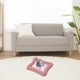 thumbnail image 4 of Manta para sofá, cama para perros, suave, con colchón antideslizante para perros, cojín para dormir., 4 of 6
