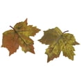 thumbnail image 6 of Northlight 11-Piece Fall Harvest Artificial Pumpkin, Acorn and Leaf Decoration Set, 6 of 7
