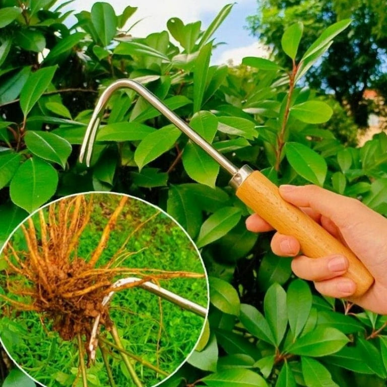 Grass Weeding Hook Root Remover Wood-handled Bonsai Hook for Stubborn Grass  Garden Plant Weeding Tool Loose Soil V-Hook 