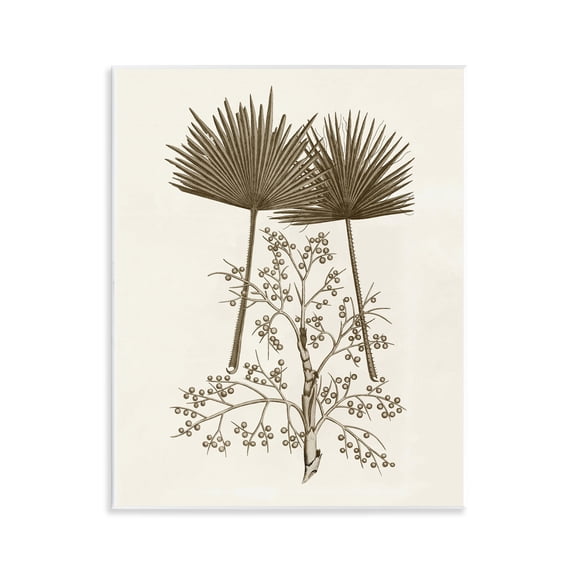 Stupell Industries Victorian Palm Leaf & Olive Branches Wall Plaque Art, 11 x 14, by Phillipa Katz