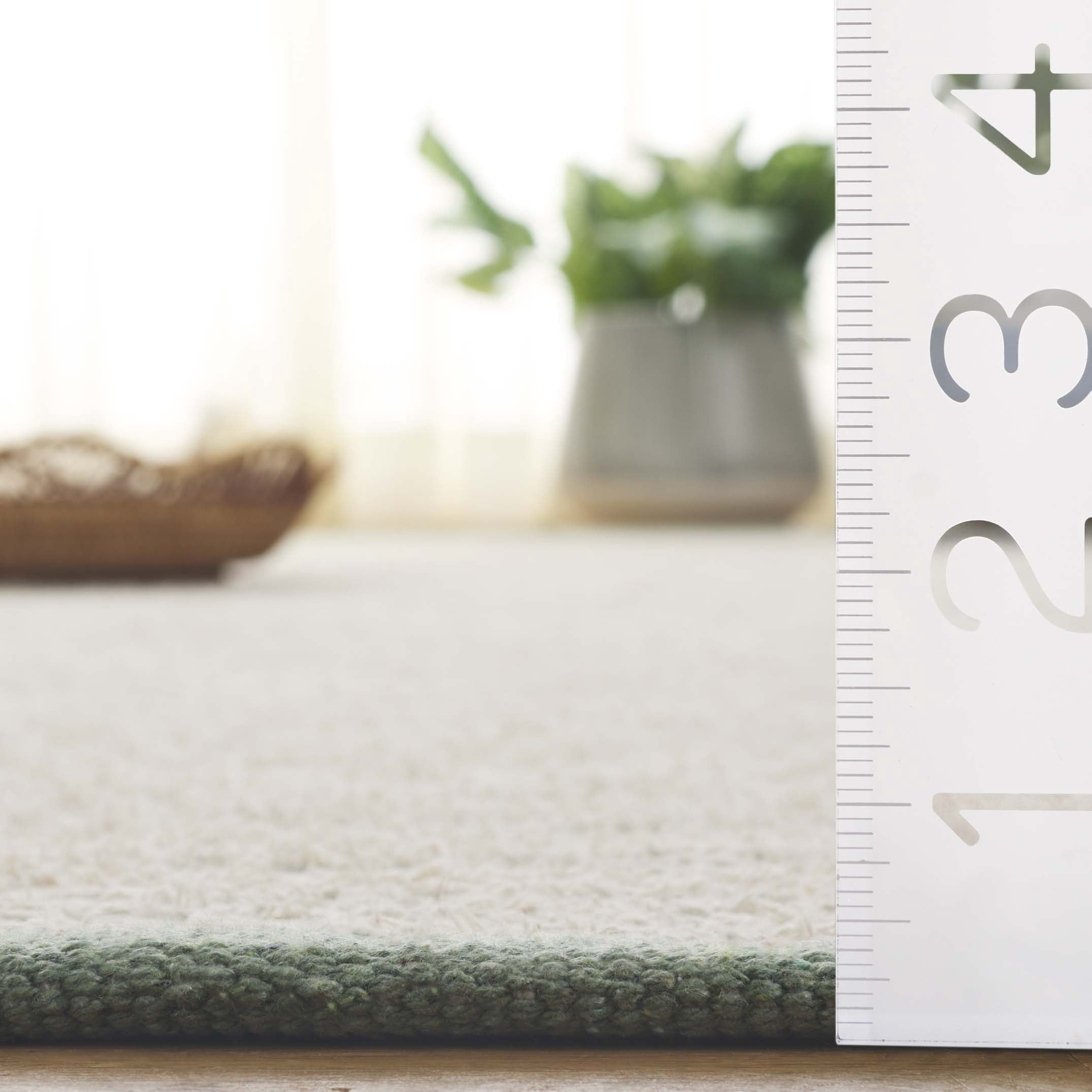 SAFAVIEH Montauk Anderson Distressed Area Rug, Ivory/Green, 8' x 10'