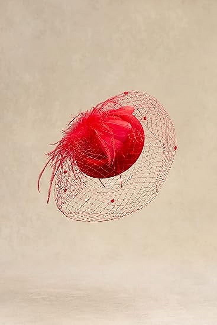 Bridal Wedding Veil Fascinator Mesh Lace Headband Tea Party  display picture 2