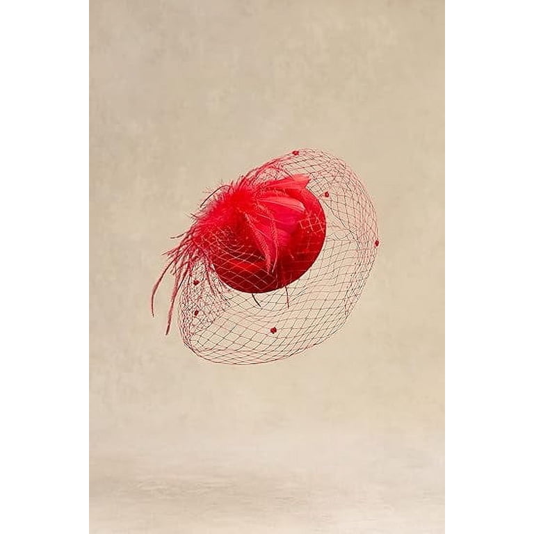 Bridal Wedding Veil Fascinator Mesh Lace Headband Tea Party  display picture 2
