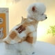thumbnail image 2 of Ropa para cachorros para perros pequeños Sudadera con capucha de invierno para perros Ropa cálida para perros pequeños Abrigo para chihuahua Ropa Disfraz para cachorros y gatos, 2 of 6