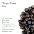 thumbnail image 6 of Juniper Whole Berry Organic Tea - Juicy And Large - Carefully Dried Berries 200g, 6 of 6