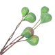 thumbnail image 4 of Higo artificial colgante, higo colgante realista, higo simulado con rama falsa., 4 of 7
