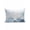 Lake blue, variant on 1 Pack Outdoor Throw Pillow, Coastal Coral Waterproof Pillow with Insert Included, Ocean Starfish Beach Conch Mist Lake Blue Marine Decorative Accent Cushion Sofa Pillows for Patio Porch, 16 x 16 In