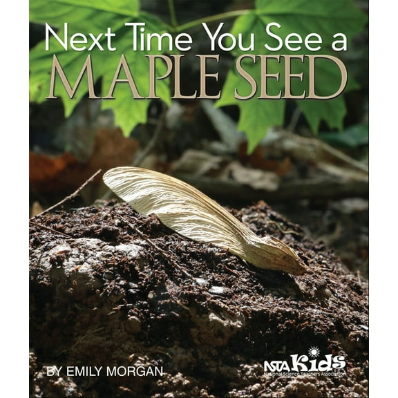 Next Time You See Next Time You See a Maple Seed, (Paperback)