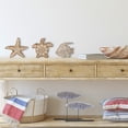thumbnail image 6 of 3 Pcs Nautical Wood Décor Set – Starfish, Fish & Sea Turtle–Ocean Marine Tropical Rustic Accents for Home,Bedroom,Bathroom,Living Room, Beach House Wall & Tabletop Decoration Coastal Beach Theme Gift, 6 of 9