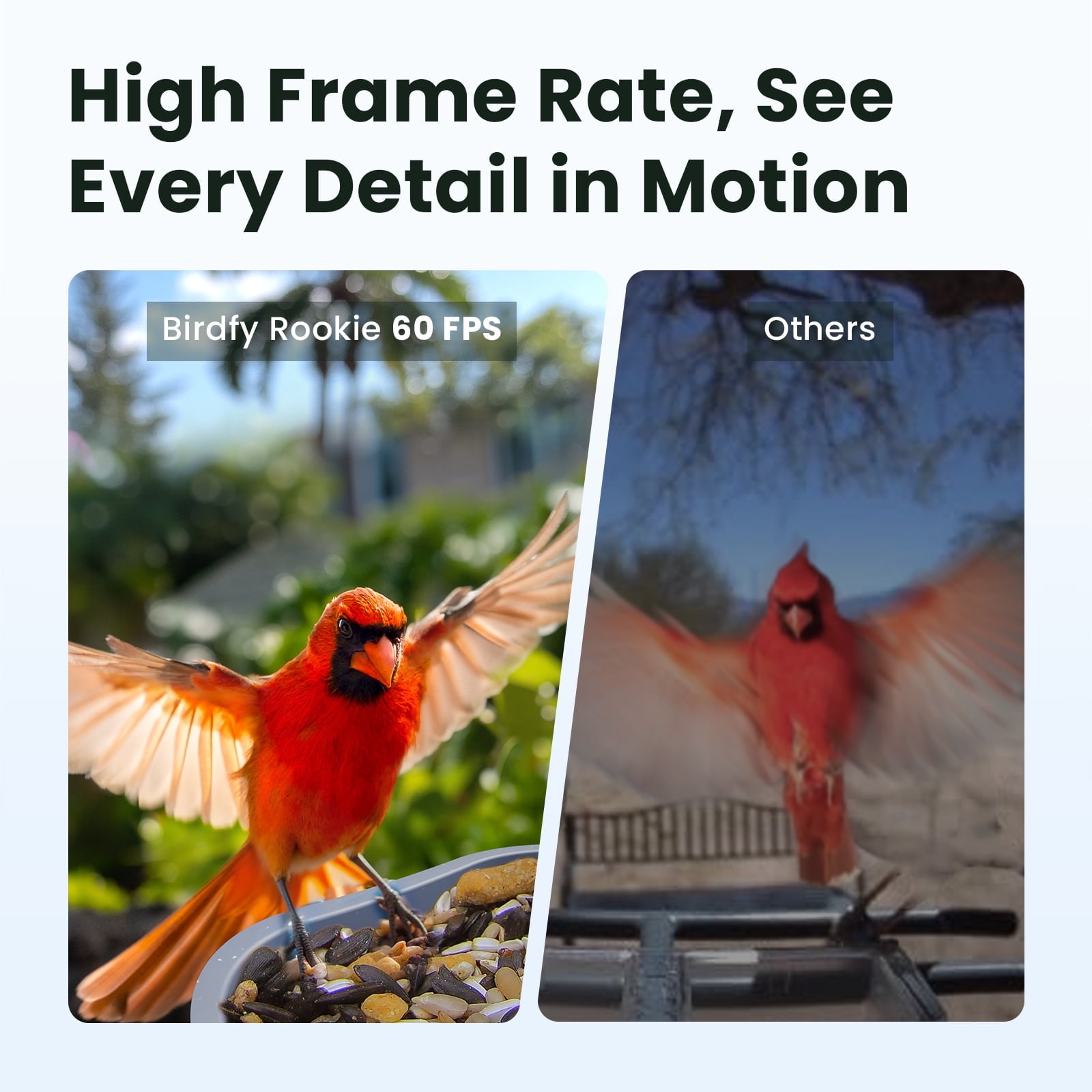 Birdfy Smart Bird Feeder with Camera, 60FPS Smooth Video, AI Bird Identification & Instant Alerts, Auto Capture, Perfect Gift for Bird Lovers