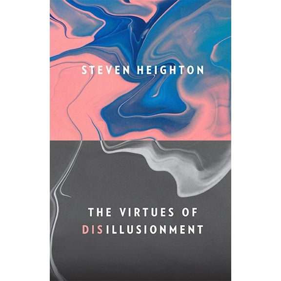 The Virtues of Disillusionment (Paperback)