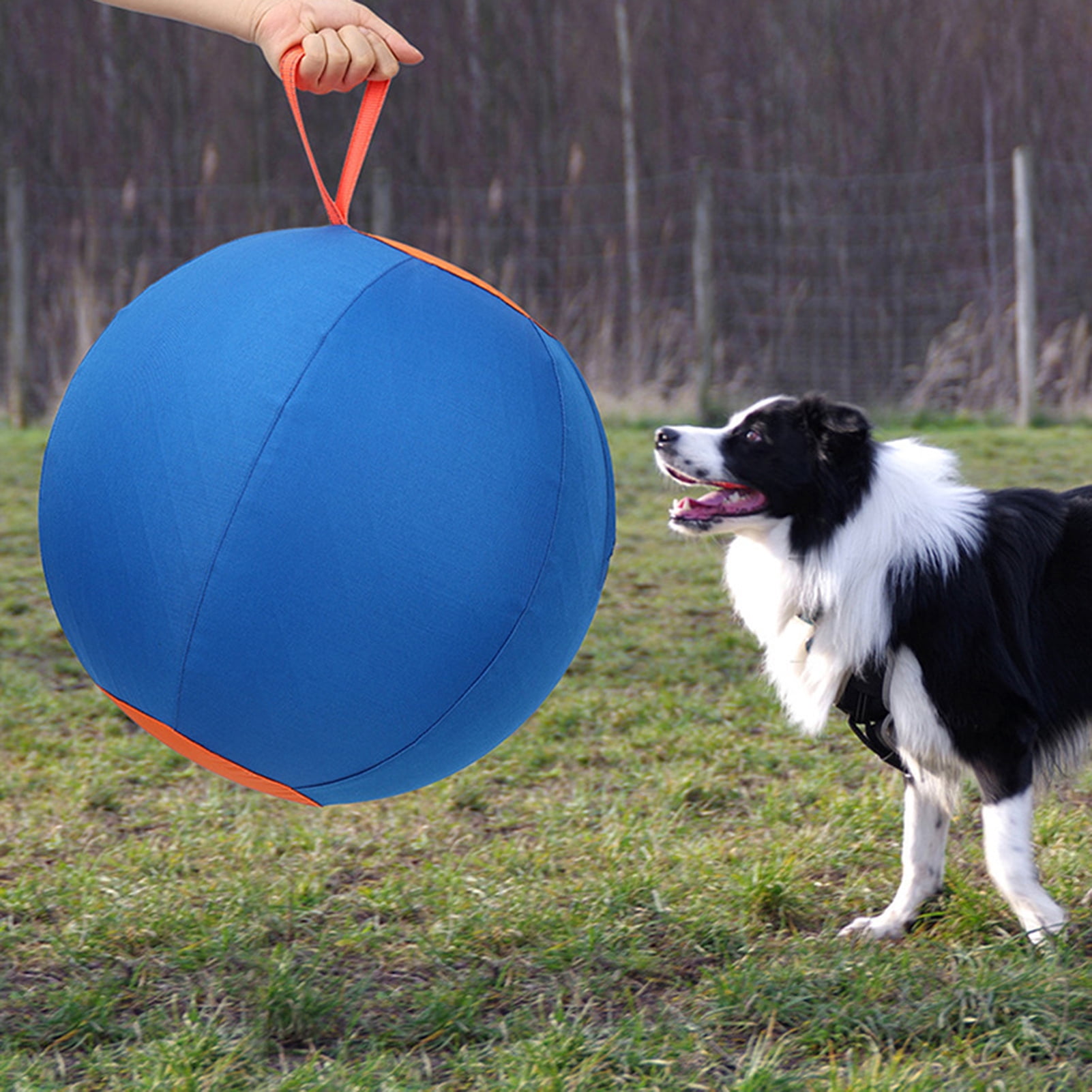 Eisoary Herding Dog Balls Horse Ball Toy Thickened Anti-Burst Ball Scratch-Resistant Training Ball Stimulates Senses Confidence Toy for Horses Cattle Dogs Blue