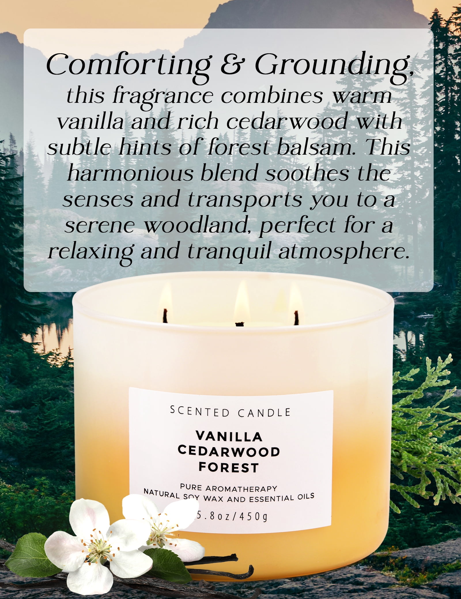 Vanilla Cedarwood Forest Scented Candle 3 Wick Aromatherapy Candle Long Lasting and Clean Burning Soy Candle for Men and Women Relaxing Candle for Home Scented