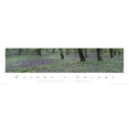 thumbnail image 2 of Unknown 24x11 Black Ornate Wood Framed with Double Matting Museum Art Print Titled - Natures Colors Purple Flowers, 2 of 4