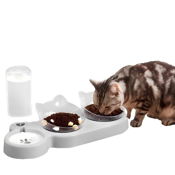 3 in 1 Cat Food and Water Bowl Set โ Stainless Steel Tilted Raised Cat Bowls with Automatic Waterer, Whisk Friendly Double Feeder for Indoor Cats & Kittens