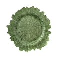 thumbnail image 1 of Irregular Glass Snowflake Plate Western Food Fruit Plate Fancy Plate Steak Plate green, 1 of 9