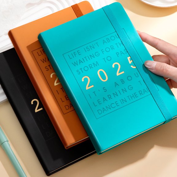 Hariumiu 2025 Daily Planner One Day One Page Comprehensive Organizer with Monthly Overviews Holiday Reminders