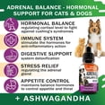 thumbnail image 2 of Adrenal Balance for Dogs and Cats - Cushings Treatment for Pets, Adrenal Support w/ Ashwagandha, Licorice Root, Rhodiola Rosea - 2oz Herbal Drops, 2 of 6