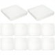 thumbnail image 1 of 10 placas de Petri para tejido celular, pequeñas placas de Petri transparentes, accesorios para equipos de laboratorio., 1 of 8