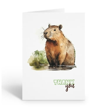 Stonehouse Collection |Watercolor Capybara Thank You Note Cards | 10-Pack Blank