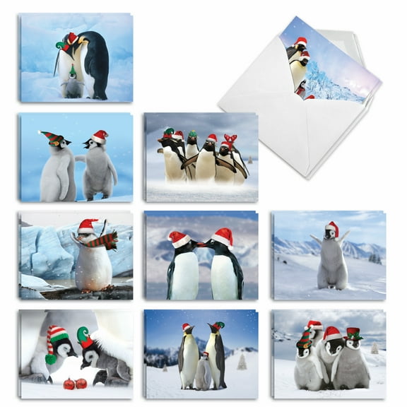 20 Merry Christmas Note Cards with Envelopes (4" x 5.12") - Penguins and Greetings Seasons Greetings (10 Designs, 2 Each) AM2951SGG-B2x10