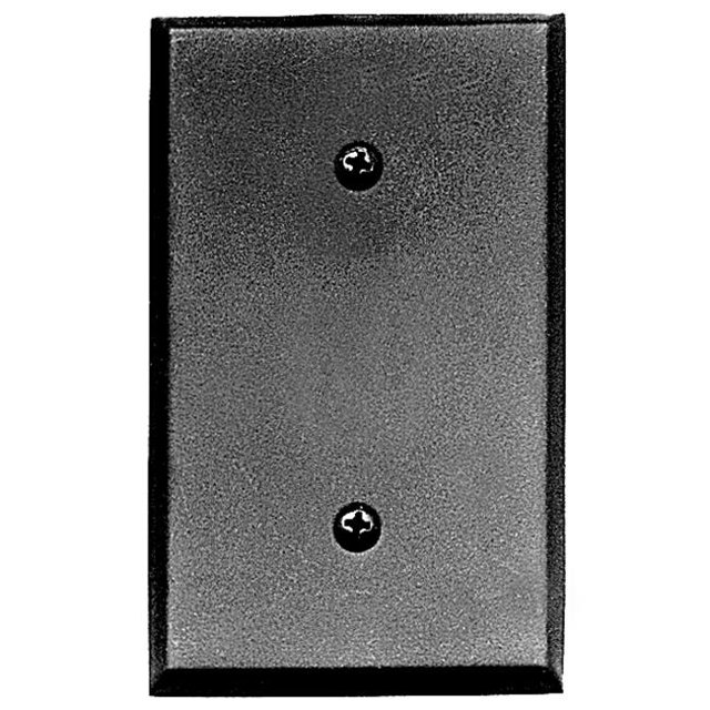 Plaque d'Interruption Vierge 4-1/2 Pouces x 2-3/4 Pouces - Fer Noir