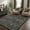 Black, variant on Lahome Washable 8'x10' Area Rug, Black Vintage Floral Rugs for Living Room, Non-Slip Soft Low Pile Farmhouse Botanical Birds Pattern Carpet for Bedroom Dining Room Office Decor, Black