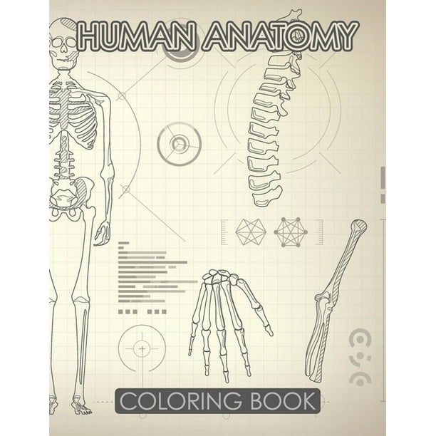Download Human Anatomy Coloring Book 80 Drawings That Explore The Human Body Neuroanatomy Anatomy And Physiology