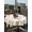 White, variant on Easter Eggs Outdoor Tablecloth - 52x70 Inch Rectangle Dining Table Cover, Carrots Spring Daisy Botanical Rustic Green Waterproof Outdoor Table Cloth with Umbrella Hole & Zipper for Picnic/Patio/Party