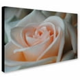 thumbnail image 2 of Trademark Fine Art "Perfezione" Canvas Art by Monica Fleet, 2 of 3