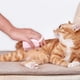 thumbnail image 5 of Juego de 2 cepillos de baño de silicona suave para perros con dispensador de champú y cepillo de masaje para cachorros, 5 of 5
