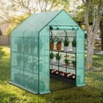 thumbnail image 3 of Favory Greenhouse for Outdoors with Screen Windows, Walk in Plant Greenhouses Heavy Duty with Durable PE Cover,  Shelves Stands Plastic Portable Green House with Shelf Clips-3 Tier 8 Shelves, 3 of 15