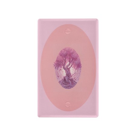 IAUYY Retardant PC Material Unused Outlet Cover Switch Plate Covers Easy DIY Installation with Screws Light Switch Cover Plate Lnterwoven with The Notes