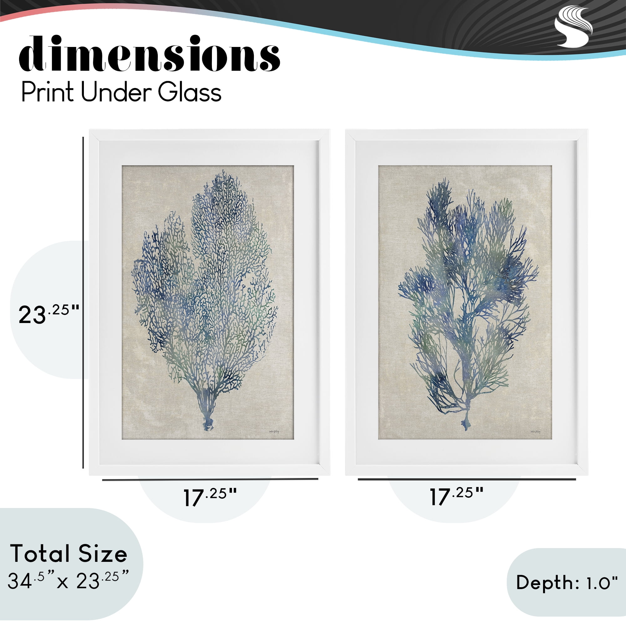 Stupell Industries Fan Coral Study in Blues 2 Piece White Framed Print Under Glass Set, design by Amber Sterling