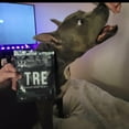 thumbnail image 4 of Operation Good Boy TRE: Sergeant Snacks, Chicken Jerky Squares for Dogs, 5 Ounce, 4 of 6