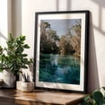 thumbnail image 4 of Three Sisters Springs - Crystal River Florida Photography Nature Tropical Lake Scenic Water Wilderness Woodland Black Framed Wall Art Print 16 x 24 inches, 4 of 8