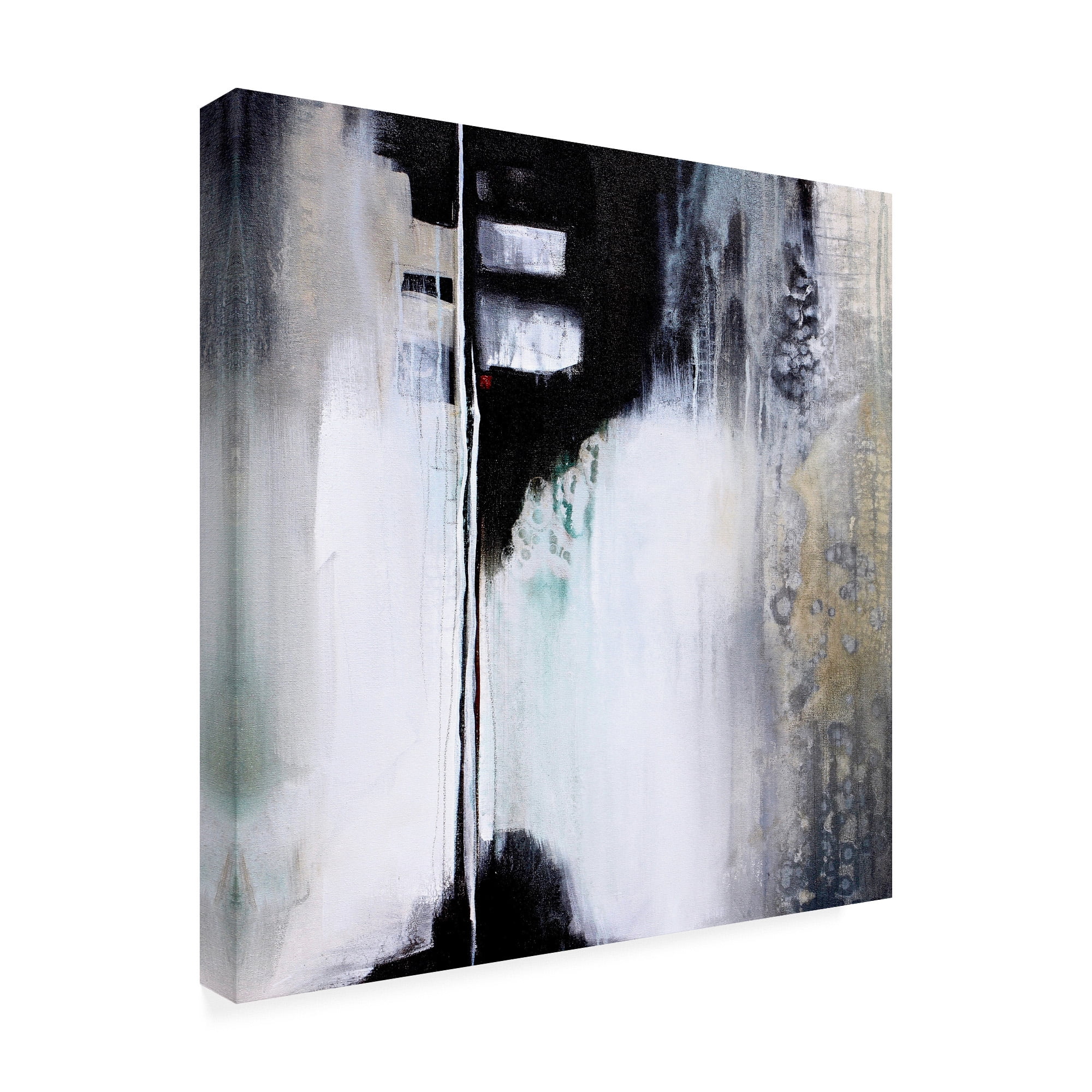 Trademark Fine Art 'Black and White Drama' Canvas Art by Karen Hal