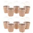 thumbnail image 1 of Honrane 10-Pack Biodegradable Nursery Pots with Ventilation Holes and See-Through Dome Lid-Ideal for Flower Germination and Seedlings,Eco-Friendly and Disposable Plant Nursery Pot for Home Gardening, 1 of 8