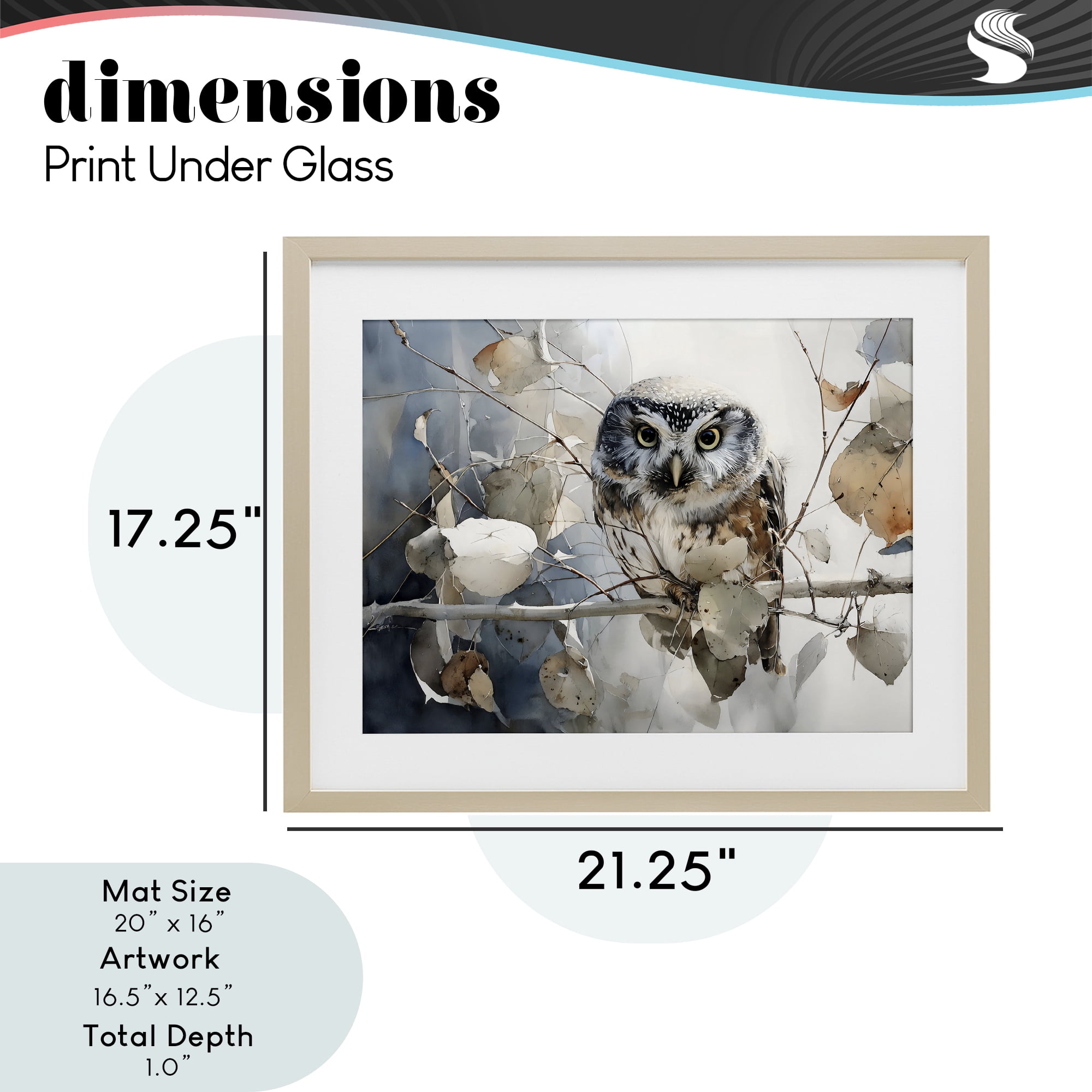 Stupell Industries Hoot Owl on Autumn Branch Birch Framed Print Under Glass, design by Franklyn Gregory