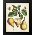 thumbnail image 2 of Unknown 20x24 Black Modern Framed Museum Art Print Titled - Antique Pear Study II, 2 of 5