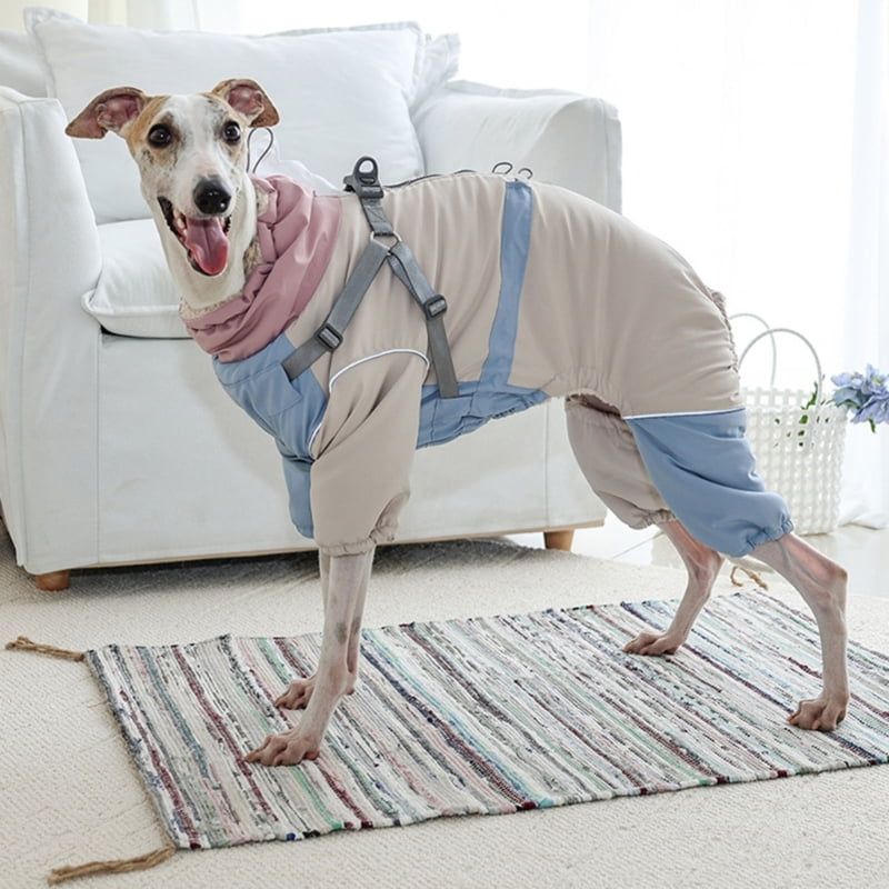 lanema Dog Full Coverage Outfit Thick Coat Clothes for Boy Girl Dog Winter Apparel